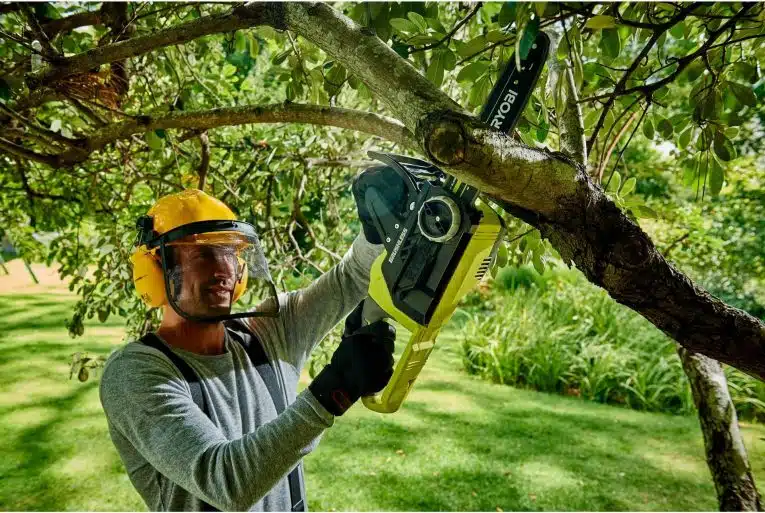 L’abattage d’un arbre : combien ça coûte et qui contacter ?